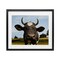 Stupell Industries Farm Cow with Curved Horns Framed Print Under Glass, design by Marcus Prime